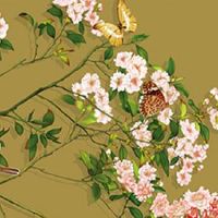 一脸贵气的女人面相 命中富贵事业顺利