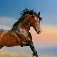 生肖属马2022年9月健康方面要注意什么