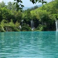 狮子座和什么星座是注定的星座婚配