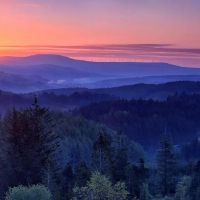 巨蟹座和什么星座是注定的星座婚配