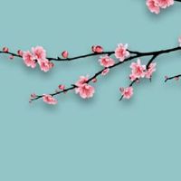 车牌号有讲究和忌讳 车牌中讲究阴阳互见