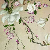 富贵女人面相学 命中富贵生活无忧无虑