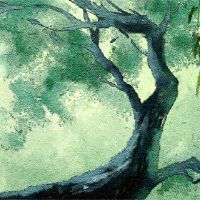 什么是八字桃花星 四柱用字出现桃花