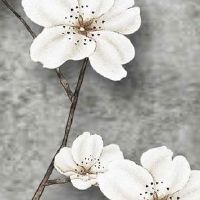 上车牌为啥不要R 寓意运势波动起伏难以前进