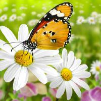 金牛座男人因为什么原因会被女朋友背叛