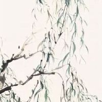 2004年属猴男适合什么职业 2004年属猴人适合从事什么工作