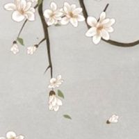 厨房最不宜的五大方位 西南方厨房易西晒