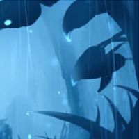 梦到把老虎杀了有血