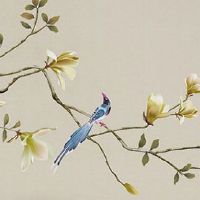 车牌号字母忌讳J 易让车主冲动行事引发事故