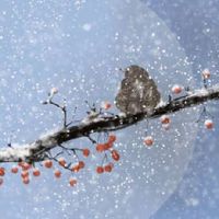 易经算手机号码准吗 添财旺运的手机尾数