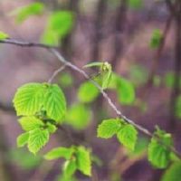 卧室会影响睡眠吗？
