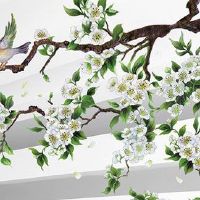 属虎人过了36岁两喜 事业爱情双丰收