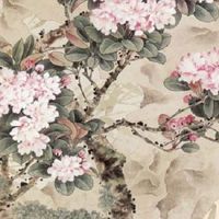 9个螺的女人命好吗 天赋过人事业发展顺利