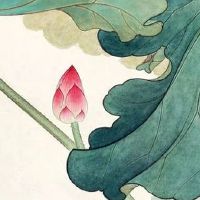 手机号码易经分析 天选大吉的手机吉祥号