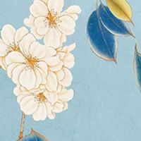 四柱八字看财运步骤 财运顺利好运接踵而来