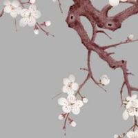 2022年11月27日出生的属虎女宝宝取名 女孩五行缺火的最佳寓意好名