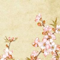 入宅红包多少最吉利 乔迁红包333寓意天长地久