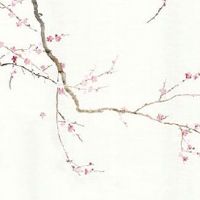 2022年11月19日适合订婚吗 今日是不是好日子