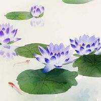 属水号码有几个 独特赚钱的手机号组