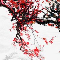 夫妻宫为寅木的另一半 八字看另一半长相方法