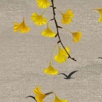 女命日支逢合必出轨 日支逢合妻子外貌好