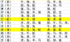 如何识别自己的生肖和星座,从而更好地了解自己的性格和命运