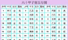 如何判断自己的生肖以及学习生肖研究的方法和技巧