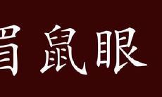 想知道贼眉鼠眠代表哪个生肖吗？别错过贼眉鼠眼转化做什么动物的猜谜游戏！