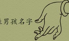 从谷李到孙张:涵盖各种精选宝宝名字的完整列表