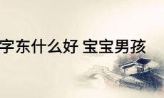 寓意吉祥的宝宝名字关联东方文化:以“东”字为基础,后跟吉祥字眼的命名方法