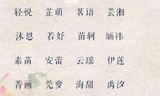 探索宝宝命名风格研究：从复杂到简单的宝宝名字选择剖析