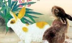 九月出生的属兔人如何运势？详解属兔人出生月份算命表