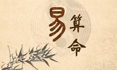 探索2023事业运趋势-基于周易算命大全的详尽分析