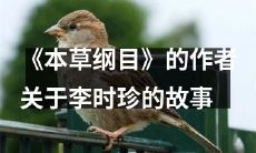 李时珍在《本草纲目》中的作者所述故事：揭示著名中医药学家的生平传奇与医药成就