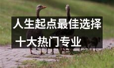 十大热门专业 帮你选择人生的最佳起点