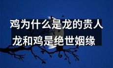 探秘龙和鸡的神秘关系：揭开鸡成为龙贵人背后的原因，探寻龙和鸡的绝世姻缘！