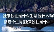 独来独往是哪个动物，对应哪个生肖，最佳答案是什么？