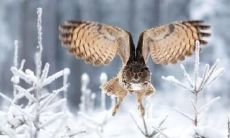 探讨命理与命运间的关系并保持心中清醒，从而掌握人生方向和走向成功的方法