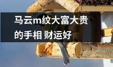 根据手相专家分析,马云手中的纹路预示着财运昌盛,从而成就了大富大贵的事业!