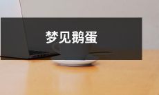 在梦中遇见神秘的鹅蛋,探索梦幻世界之旅!