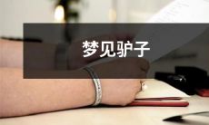 在梦中遇见一只可爱的驴子，畅游在神秘的农田景色中