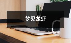 在梦中遇见一只飞天龙虾的奇幻经历