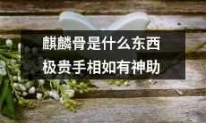麒麟骨:解密这种超级值钱的手相神器,它究竟是什么并如何发挥神助力?