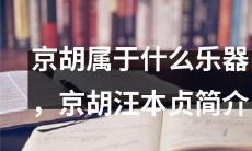 京胡是一种什么类型的乐器？探寻京胡汪本贞的音乐传承和艺术经历
