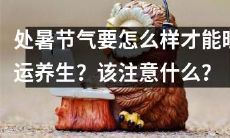处暑节气的旺运养生指南：如何保持良好状态并注意哪些事项？