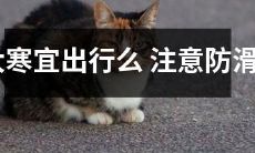 在大寒时节，是否适宜出行？出门注意事项中防滑十分重要