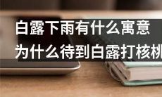 为什么在白露时节下雨具有什么深层的象征意义，而且人们为什么会固守传统，在这个季节等待着核桃成熟？
