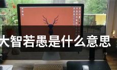 『大智若愚』的真正含义是什么?- 探讨这个古老成语的内涵与应用