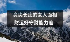 有痣在鼻尖位置的女性具备笔直的财运线，但其财务管理能力相对较差