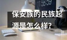 历史上保安族是如何形成的？他们的民族起源是怎样的？
